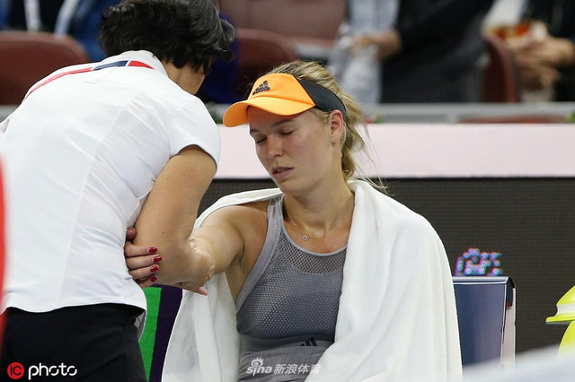 或缺的一员 或缺的一员